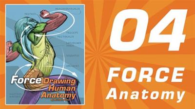 FORCE  Drawing Courses - 04 FORCE Human Anatomy by Michael Mattesi