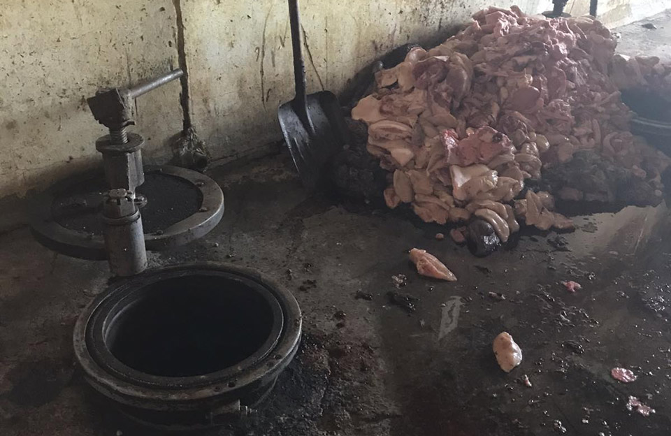 Вісті з Полтави - Глобинський м’ясокомбінат спалив 4 тонни якісного м’яса, після візиту Держпродспоживслужби