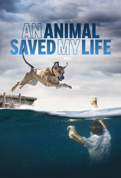 An Animal Saved My Life S01E04 720p HEVC x265 