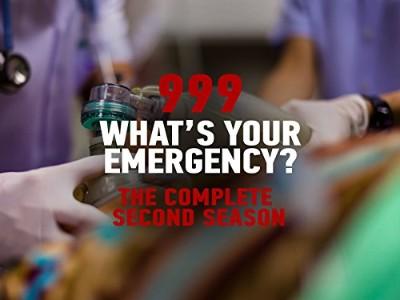 999 Whats Your Emergency S13E05 720p HEVC x265 
