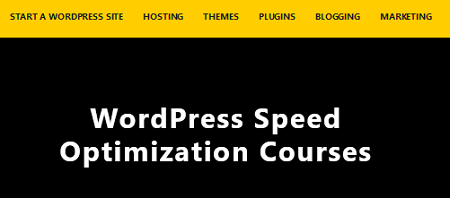 WPJohnny - WordPress Speed Optimization Course Video