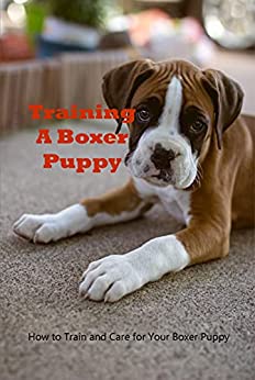 Training A Boxer Puppy: How to Train and Care for Your Boxer Puppy: Dog Training Book
