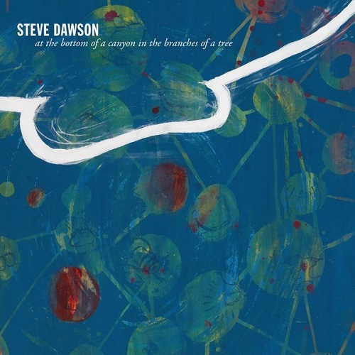 Steve Dawson - At The Bottom Of A Canyon In The Branches Of A Tree (2021)