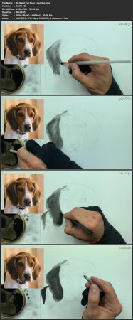How  to Draw a Beagle | Step by Step Tutorial A792f8b889141f25b2fa9aeeda68894d