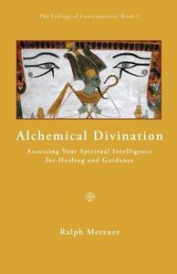 Alchemical Divination Accessing Your Spiritual Intelligence for Healing & Guidance (Ecology of Consciousness)