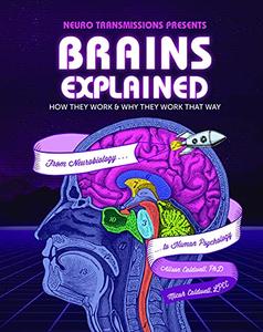 Brains Explained How They Work & Why They Work That Way