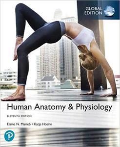 Human Anatomy & Physiology, Global Edition, 11th edition