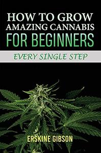 How to Grow Amazing Cannabis for Beginners Every Single Step