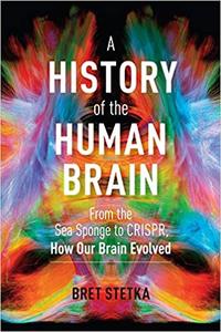 A History of the Human Brain From the Sea Sponge to CRISPR, How Our Brain Evolved