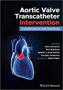 Aortic Valve Transcatheter Intervention Complications and Solutions
