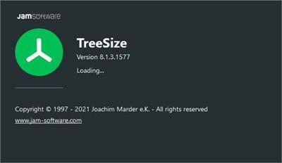 TreeSize Professional 8.1.4.1581 (x64) Multilingual + Portable