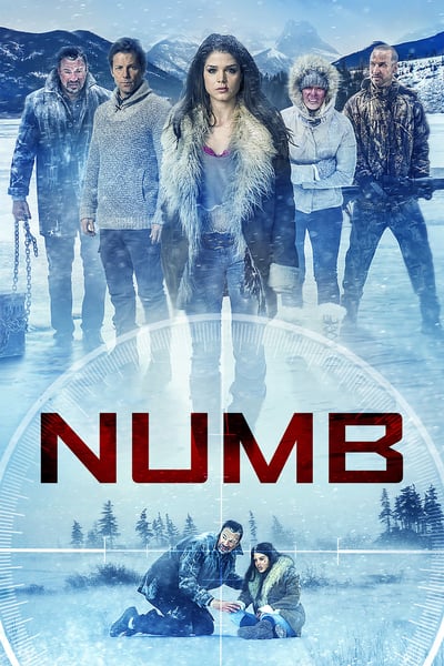 Numb 2015 1080p BluRay x265-RARBG
