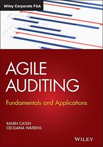 Agile Auditing Fundamentals and Applications