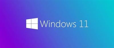 Windows 11  Pro Insider Preview 10.0.22000.100 (x64) Multilanguage