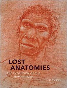Lost Anatomies The Evolution of the Human Form