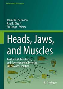 Heads, Jaws, and Muscles Anatomical, Functional, and Developmental Diversity in Chordate Evolution 