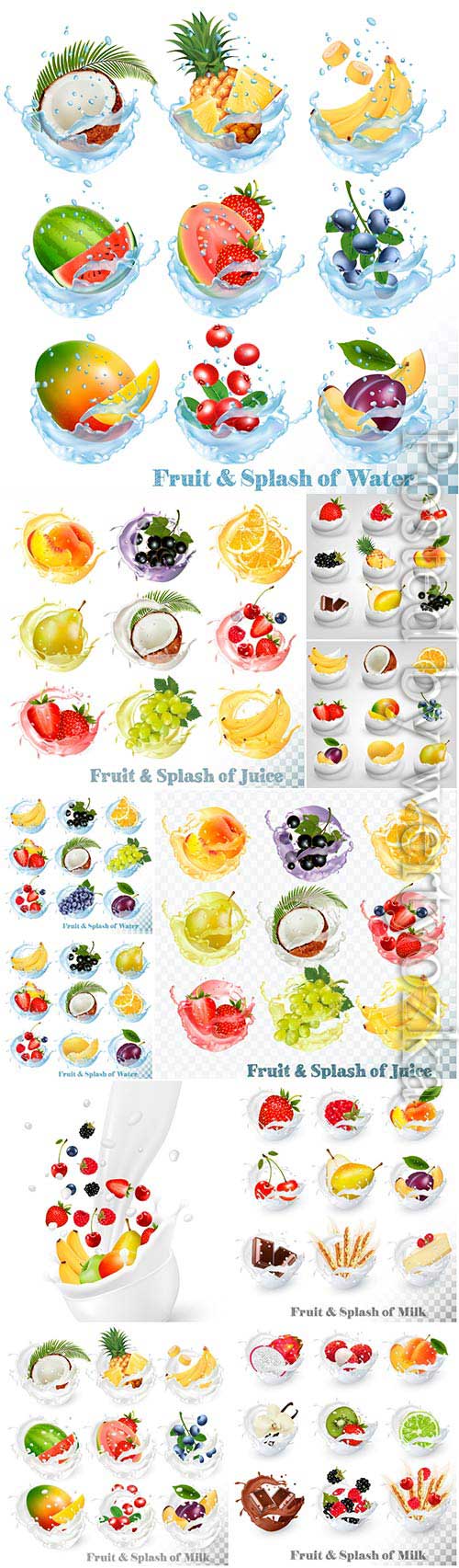 Fruits and berries in water and milk in vector