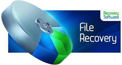 RS  File Recovery 6.0 Multilingual Portable