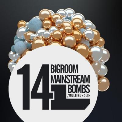 Various Artists   14 Bigroom Mainstream Bombs (2021)