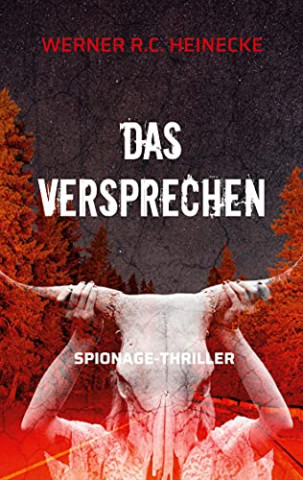 Cover: Werner R C  Heinecke - Das Versprechen