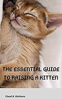 The Essential Guide to Raising a Kitten