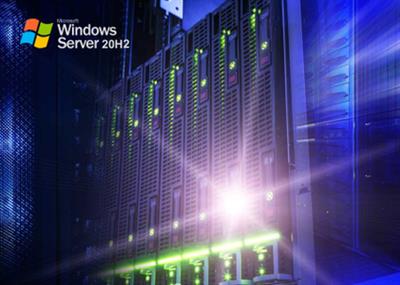 Windows Server, version 20H2 Build 19042.1110