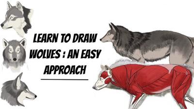 Learn  To Draw Wolves: An Easy Approach 6ee5eb2b1dd531ec38fce0d7298ed50a