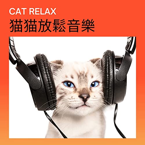 Cat Relax Music (2021)
