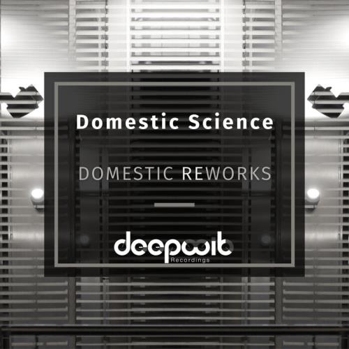 Domestic Science - Domestic Reworks (2021)
