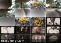 Orangish Logs in the Woods with goddesslucy [FullHD / 2020]