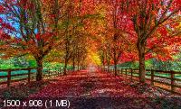 500 Beautiful and Amazing Mixed Wallpapers Pack - 2 (2021) JPG
