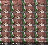 JodiWest - Jodi West - Can You Last 2 (FullHD/1080p/177 MB)