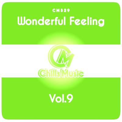 Various Artists - Wonderful Feeling Vol. 9 (2021)